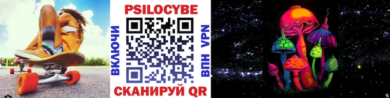 где купить наркоту  Старая Русса  Галлюциногенные грибы Psilocybe 
