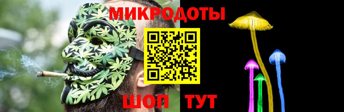 Галлюциногенные грибы Cubensis Старая Русса