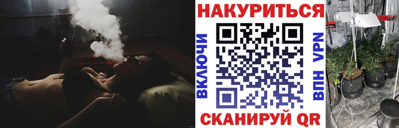 Бошки Шишки план  Старая Русса 